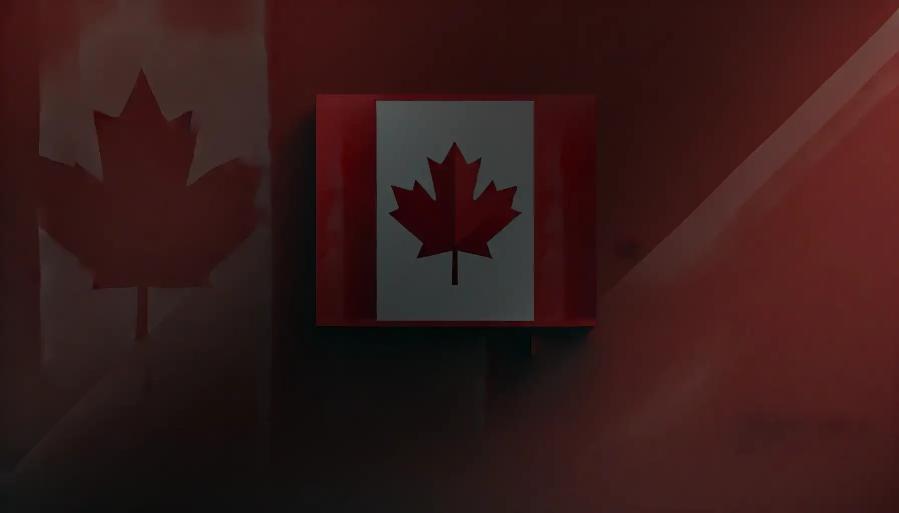 Heavy Haulers Transport