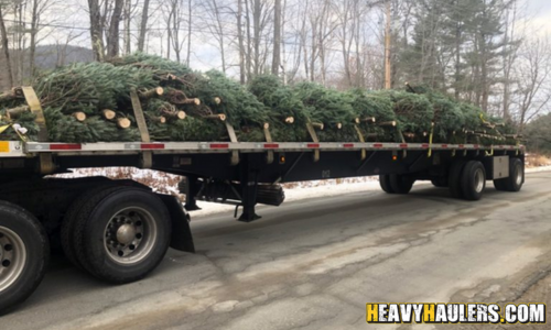 Christmas Trees Transported on a Flatbed